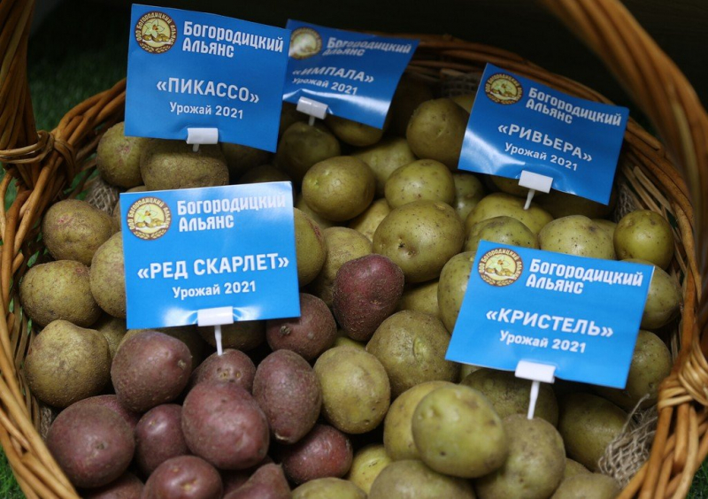 Достижения, которых не видно: как прошла выставка продуктов «Золотая осень»