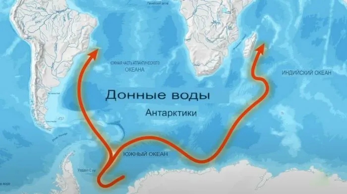 Почему Арктика и Антарктика заселены множеством одних и тех же видов