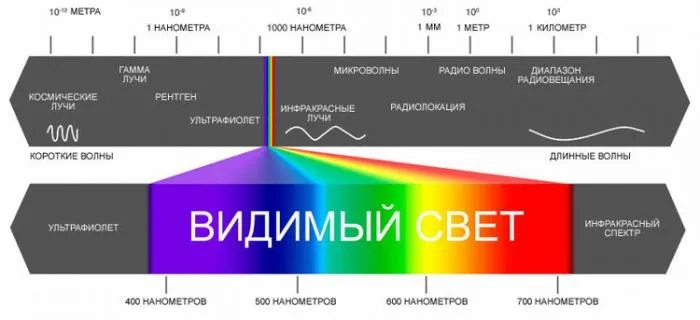 Почему некоторые люди могут видеть невидимое для остальных